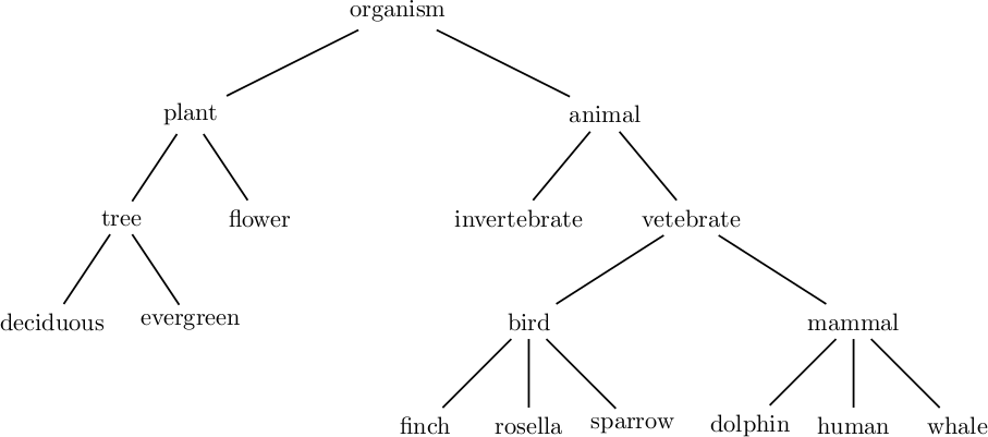 invertebrate phylogenetic tree. Classification tree of